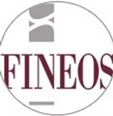 FINEOS (IE)